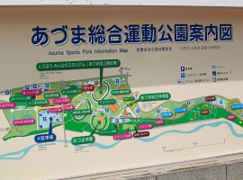 R32E4129.JPG