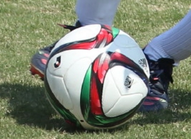 R32X1743-11.jpg