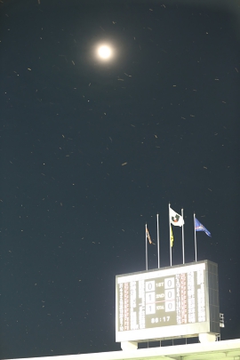 R32X5624.JPG