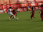 64-525.jpg