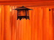 R32E4869-11.jpg